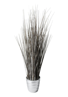 Декоративный куст Heine Home