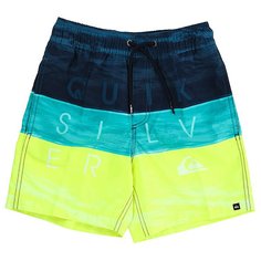 Шорты пляжные детские Quiksilver Wordwavesvlb12 Viridian Green