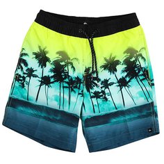 Шорты пляжные детские Quiksilver Wavesvlyouth15 Viridian Green