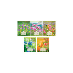 Комплект тетрадей "Полевые цветы" (10 шт), 24 листа, Канц-Эксмо