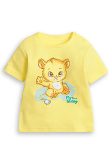 Футболка Pelican