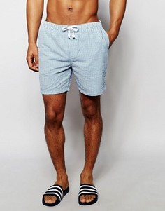 Шорты для плавания Original Penguin - Синий