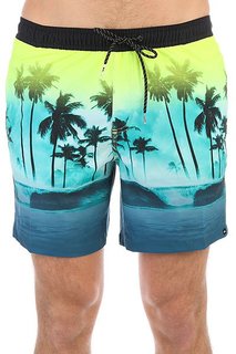 Шорты пляжные Quiksilver Wavesvolley17 Viridian Green