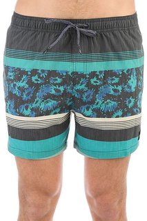 Шорты пляжные Quiksilver Swemmvisvo15 Stone Blue
