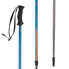 Детская Палка Для Трекинга Arpenaz Quechua