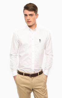 Приталенная рубашка из хлопка белого цвета U.S. Polo Assn.