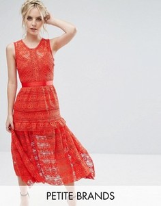 Кружевное короткое приталенное платье для выпускного True Decadence Petite - Красный