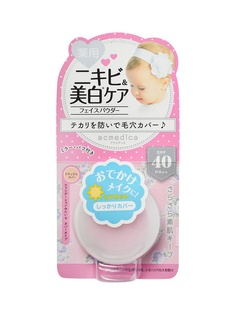 Пудры NARIS COSMETICS