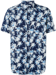 palm tree print shirt  Edwin