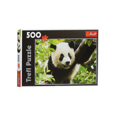 Пазл "Панда", 500 деталей, Trefl