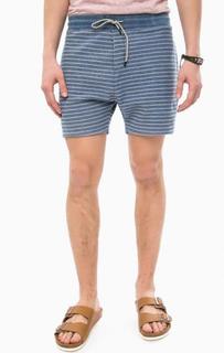 Синие шорты в полоску из хлопка Scotch&Soda