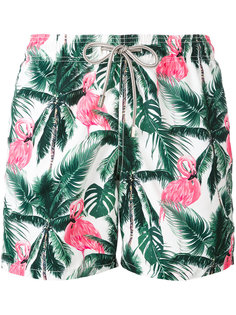 flamingos print swim shorts  Mc2 Saint Barth