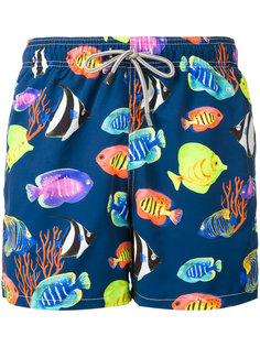 fishes print swim shorts Mc2 Saint Barth
