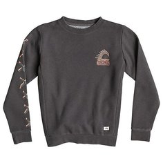 Толстовка детская Quiksilver Warpaintcrewyth Tarmac