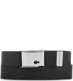 Комплект из двух ремней и двух пряжек Lacoste