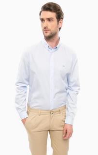 Приталенная рубашка из хлопка Lacoste