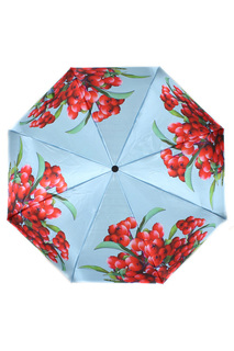 Зонт Flioraj