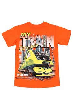 Футболка Basia