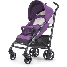 Коляска-трость Chicco Lite Way Top, aster