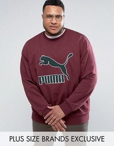 Красный свитшот в винтажном стиле с логотипом Puma PLUS эксклюзивно для ASOS - Красный