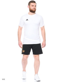 Шорты Adidas