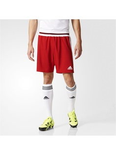 Шорты Adidas