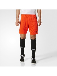 Шорты Adidas