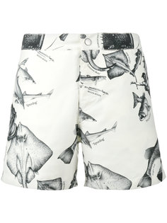 короткие плавки Braunton  Riz Boardshorts