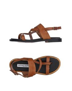 Вьетнамки Antonio Moretto