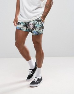 Шорты с гавайским принтом Jaded London - Черный