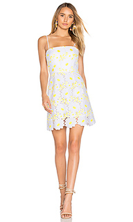 Petal lace dress - MILLY