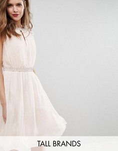 Короткое приталенное платье с декоративной отделкой Little Mistress Tall - Темно-синий