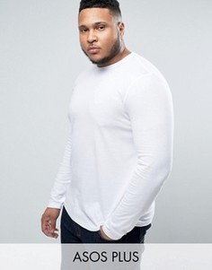 Белый лонгслив с круглым вырезом ASOS PLUS - Белый