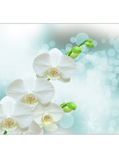 Фотообои Barton Wallpapers
