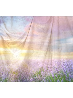 Фотообои Barton Wallpapers