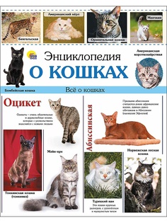 Книги Проф-Пресс