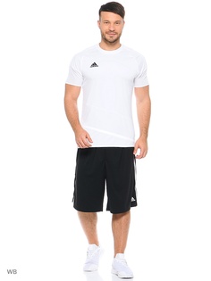 Шорты Adidas