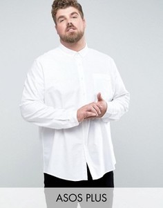 Белая оксфордская рубашка скинни ASOS PLUS - Белый