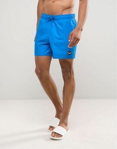 Однотонные шорты для плавания Hollister - Синий