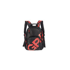 Grizzly рюкзак  2 отделения