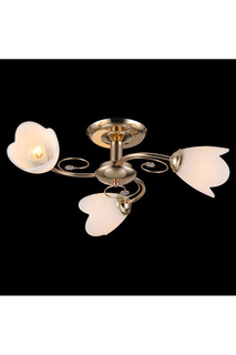 Люстра Natali Kovaltseva