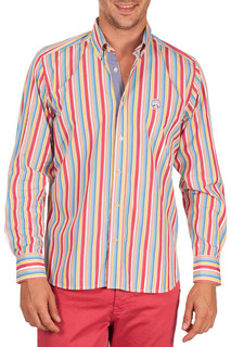 Shirt Galvanni