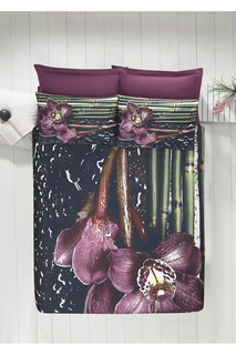 COVER SET Victoria