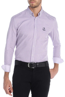 Shirt Sir Raymond Tailor