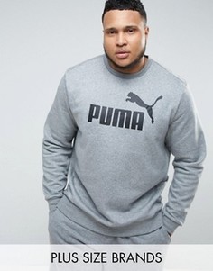Серая толстовка Puma PLUS ESS No.1 - Серый