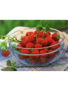 Плейсматы Dream time