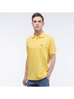 Поло Lacoste