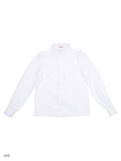 Блузки FILGRAND