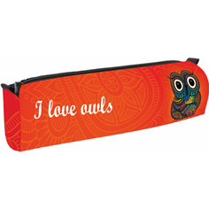 Centrum Пенал объёмный "Сова"