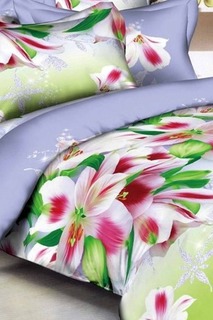 Постельное белье евро, 70x70 Французский стиль